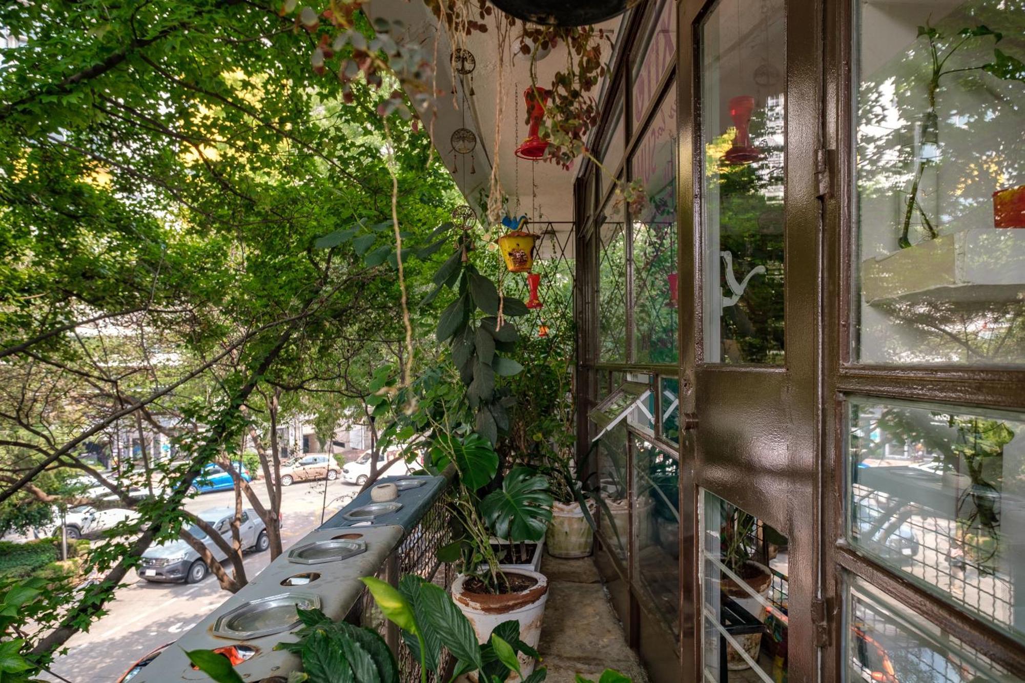 Casa Itzae B&B Polanquito Dog Friendly Мехіко Екстер'єр фото